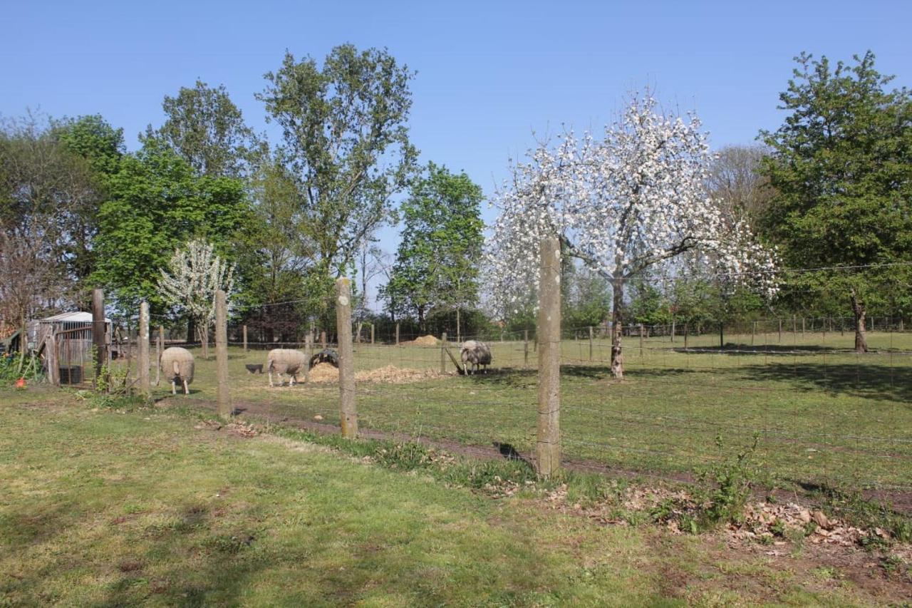 Beej Potters Bed & Breakfast Weert Exterior photo
